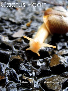 224x300xCactus-Heart-3-cover-224x300_jpg_pagespeed_ic_cpktd-v-gQ