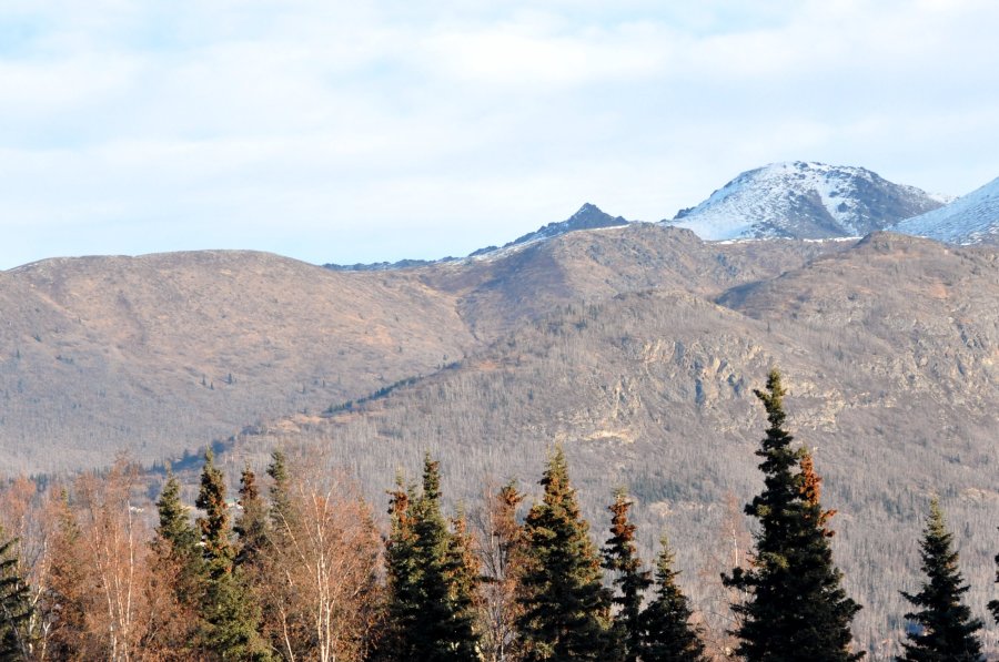 11-20 Warming trend.jpg