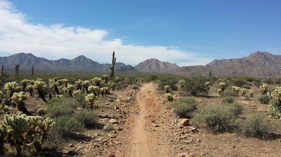 the-pemberton-trail-at
